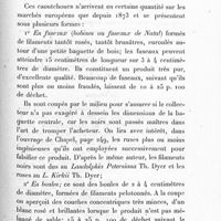 0089 - Page 83 - Caoutchoucs de Mozambique