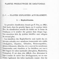 0131 - Page 125 - Chapitre VII. Plantes productrices de caoutchouc. 1er. Plantes exploitées actuellement. I. Euphorbiacées
