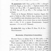 0136 - Page 130 - Manihotées (Platylobées-Crotonoïdées)