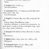 0145 - Page 139 - Conocéphaloïdées