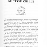 0013 - Page 1 - Du tissu criblé. Historique