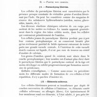 0116 - Page 104 - B. Partie non criblée. 1. Parenchyme libérien / 2. Eléments scléreux