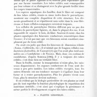 0218 - Page 206 - B. Plantes xérophiles