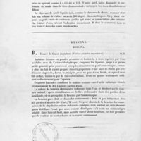 0026 - Page 26 - Brucine. Brucina