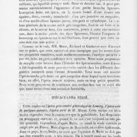 0016 - Page 16 - Ipécacuanha strié