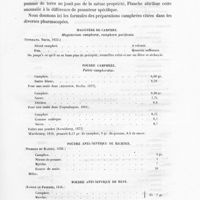 0021 - Page 19 - Magistère de camphre. Magisterium camphorae, camphora purificata / Poudre camphrée. Pulvis camphoratus / Poudre anti-septique de richter / Poudre anti-septique de rust