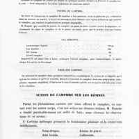 0045 - Page 43 - Poudre de camphre / Eau sédative / Emplâtre camphré / Action de camphre sur les résines