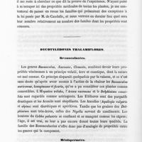 0020 - Page 20 - Dycotylédones thalamiflores. Renonculacées / Ménispermées