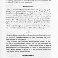 0023 - Page 23 - Cariophyllées / Linées / Ternstraemiacées