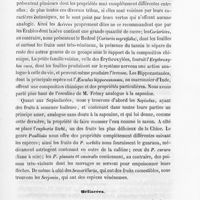 0025 - Page 25 - Acérées / Méliacées