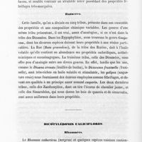 0026 - Page 26 - Rutacées / Dicotylédones caliciflores. Rhamnées