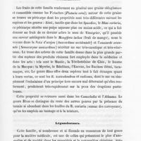 0027 - Page 27 - Térébinthacées / Légumineuses