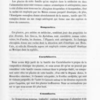 0031 - Page 31 - Myrtinées / Onagrariées / Cucurbitacées / Crassulacées