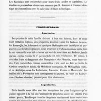 0035 - Page 35 - Corolliflores. Apocynées / Loganiacées