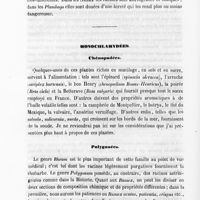 0038 - Page 38 - Plumbaginées / Monochlamydées. Chénopodées / Polygonées