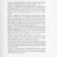 0017 - Page 15 - Caractères du genre krameria