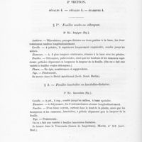 0024 - Page 22 - 2e Section. Sépales 4. - Pétales 4. - Étamines 4. Ier. Feuilles ovales ou oblongues. 2. Kr. longipes (Bg.) / 2. Feuilles lancéolées ou lancéolées-linéaires. 3. Kr. lanceolata (Bg.)