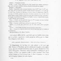 0027 - Page 25 - 5. Kr. cuspidata, Presl. ; Herb. Nouv.-Gren., n° 195 / 6. Kr. spartioïdes. (Klozeh in herb. - Herb. de la Nouv.-Grenade)