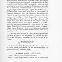 0031 - Page 29 - Kr. ruscifolia (A. St.-H.). Syn. Kr. latifolia (Moricand) / 9. Kr. tomentosa. (A. St-Hil. ; - Herb., A. St-Hil.)