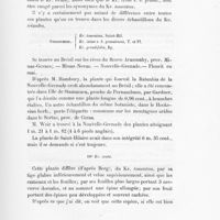 0037 - Page 35 - 10. Kr. ovata