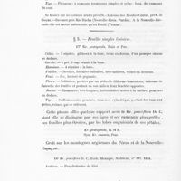 0044 - Page 42 - 3. Feuilles simples linéaires. 17. Kr. pentapetala, Ruiz et Pav. / Kr. pentapetala, R. et P. Syn. Kr. linéaris, Poir / 18. Kr. pauciflora D. C. Herb. Mexique, Andrieux, n° 397, 1834