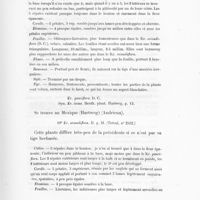 0045 - Page 43 - Kr. pauciflora. D. C. Syn. Kr. ixina. Benth. plant. Hartweg. p. 13 / 19. Kr. secundiflora. H. g. M. (Trécul, n° 2512)