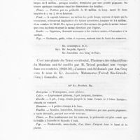 0046 - Page 44 - Kr. secundiflora. D. C. Syn. Kr. berychii-Sporld. Kr. lanceolata. Asa Gray et Torr / 20. Kr. Revoluta. Bg.