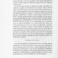 0054 - Page 52 - Ratanhias de savanille