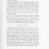 0061 - Page 59 - Ratanhia des Antilles