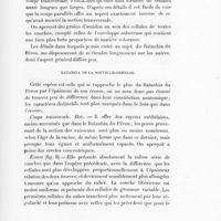 0071 - Page 69 - Ratanhia de la Nouvelle-Grenade