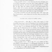 0072 - Page 70 - Ratanhia des Antilles (à surface noire)