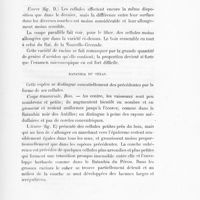 0073 - Page 71 - Ratanhia des Antilles à surface brune / Ratanhia du Texas