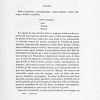 0015 - Page 13 - Paridées