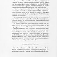 0024 - Page 22 - I. Salsepareille de la Vera-Cruz