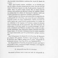 0027 - Page 25 - II. Salsepareille rouge dite de la Jamaïque