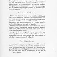 0031 - Page 29 - III. Salsepareille de Honduras / IV. Salsepareille caraque