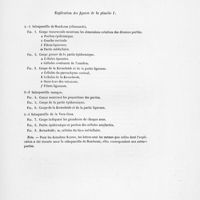 0043 - Page 39 - Explication des figures de la planche I