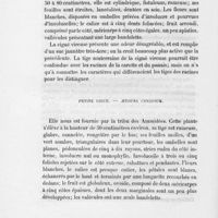 0012 - Page 10 - Petite ciguë. - Aethusa cynapium
