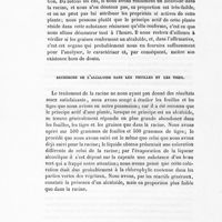 0024 - Page 20 - Recherche de l'alcaloïde dans les feuilles et les tiges