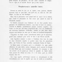 0015 - Page 13 - Phosphorescences naturelles innées
