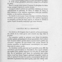 0019 - Page 17 - Calculs de la prostate