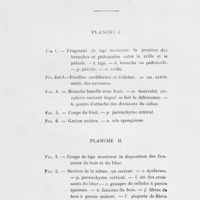 0099 - Page 97 - Explication des planches / Planche I / Planche II
