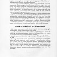 0020 - Page 18 - Écorce de succirubra des Neilhgerries
