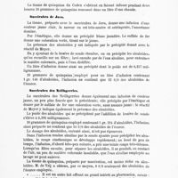 0031 - Page 29 - Tisane