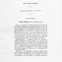 0023 - Page 13 - Deuxième partie. Développement du fruit. Chapitre premier. Genre Cassia (Section Cathartocarpus)