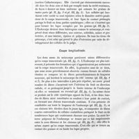 0026 - Page 16 - Coupe longitudinale