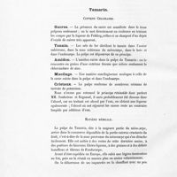 0038 - Page 28 - Tamarin. Contenu cellulaire / Matière médicale