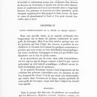 0051 - Page 41 - Chapitre IV. Faune ichthyologique de la pêche au grand chalut / Sélaciens