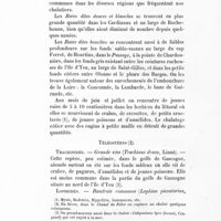 0054 - Page 44 - Téléostéens