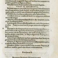 0124 - Page 56 - Sequuntur herbarum descriptiones que à litera C. incipiunt. De chamomilla